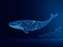 Balena 0x519c deschide un short de 10x în valoare de 7,62 milioane USD pe HYPE, după 30 de zile