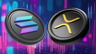 Solana a ironizat XRP army cu o postare recentă "589" pe X