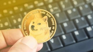 ¿Por qué las criptomonedas inspiradas en memes vuelven a estar en el centro de atención?