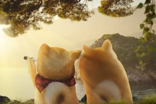 DOGE e sua sorella, NEIRO, i prezzi salgono dopo che l’ETF DOJE ha raggiunto $6 milioni di volume nella prima ora di contrattazioni