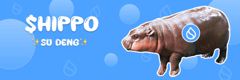 Trader Turns $368 into $2 Million in Just 3 Days on Hippo Memecoin