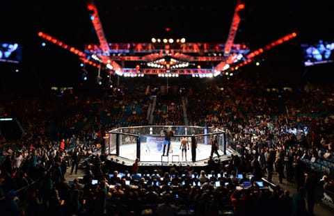 UFC încheie un acord de sponsorizare cu compania blockchain VeChain