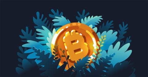 Bitcoin: 3,1 milioane de monede au fost achiziționate la $40,000. 1,6 milioane la $50,000