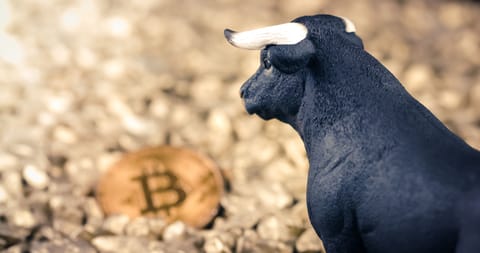 Bitcoin: Taurii estimează că hiperbitcoinizarea poate avea loc în 10 ani