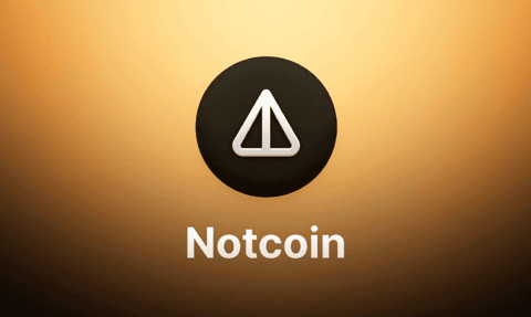 Notcoin (NOT) a crescut astăzi cu 41%, depășind o capitalizare de piață de $1 miliard