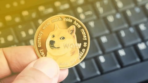 De ce criptomonedele inspirate din meme revin în centrul atenției investitorilor?