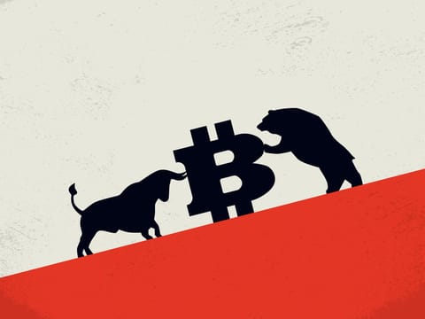 Bitcoin: Bull Market sau Bear Market? Vânzările cauzate de panică se înmulțesc în 2022