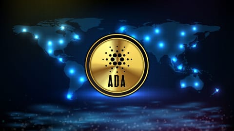 Cardano ar putea crește de aproape 50 de ori, după o creștere de 50 de ori?