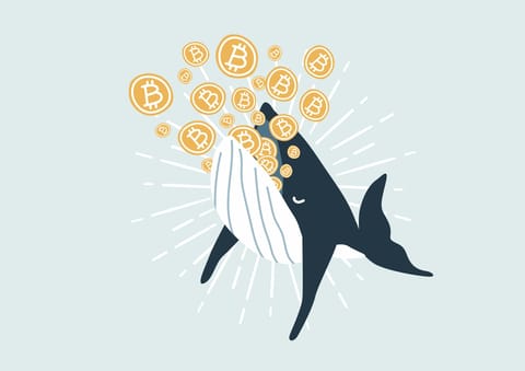 Bitcoin: adresele mari au acumulat 90,000 de BTC în ultima lună