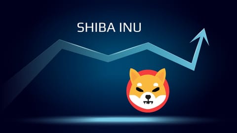 Shiba Inu a stabilit un nou All Time High, după o creștere de 60%, în două zile