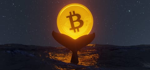 Bitcoin: acumularea record a balenelor duce la un nou ATH