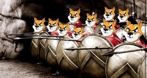 SHIBA INU: Unde intervin cumpărătorii? Să mai aștept capitularea?