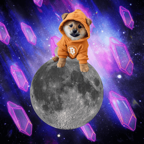 Runestone scade 60% post anunțul snapshot-ului $DOG, ȋnsă rămâne al 6-lea NFT