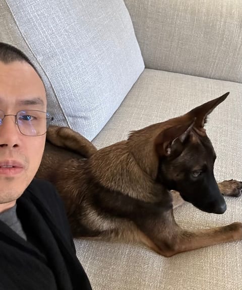 Un sniper crypto a gagné plus de 27,8 millions USDT en ciblant le memecoin BROCCOLI inspiré par le chien de CZ
