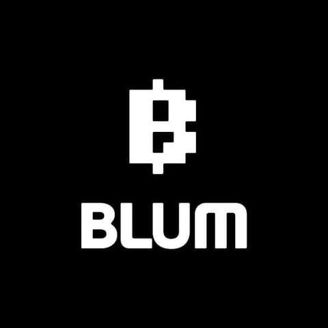 ¿Qué es Blum Coin?