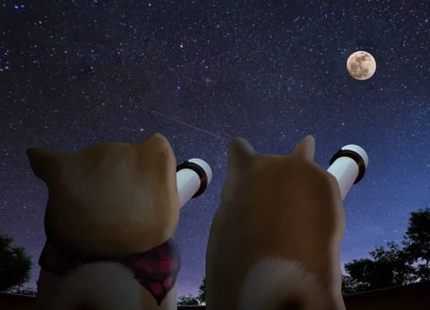 Bevorstehender DOGE-ETF am 11. September dürfte den Preis seiner Schwester NEIRO ankurbeln