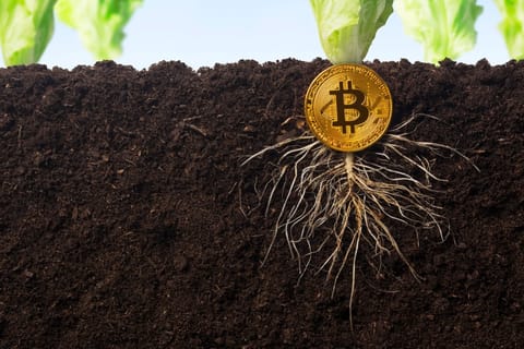 Bitcoin pregătește o închidere competitivă a săptămânii. Taproot e implementat cu succes
