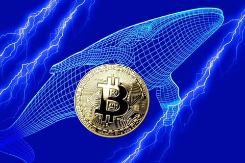 Bitcoin: balenele mută valori record de monede BTC. Volatilitatea ar putea atinge niveluri record