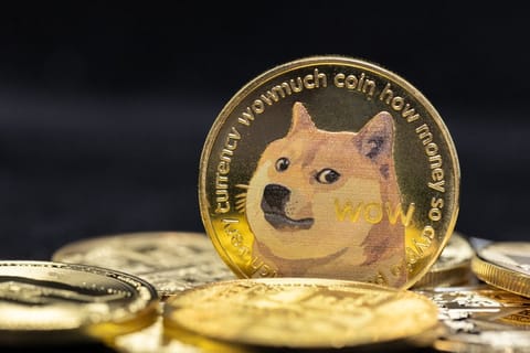 Dogecoin: mai popular ca niciodată, însă tranzacțiile au atins cel mai scăzut nivel din 2017