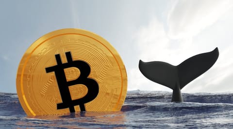Bitcoin: Datele arată că investitorii mici cumpără, în timp ce balenele vând