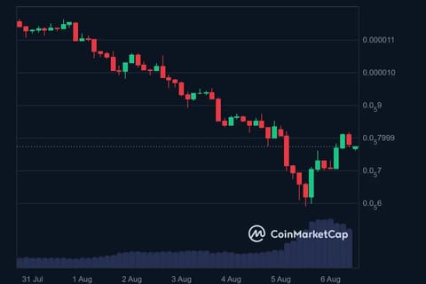 Memecoinurile cresc pe fondul preocupărilor financiare globale