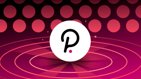 PINK memecoin se lansează pe Polkadot