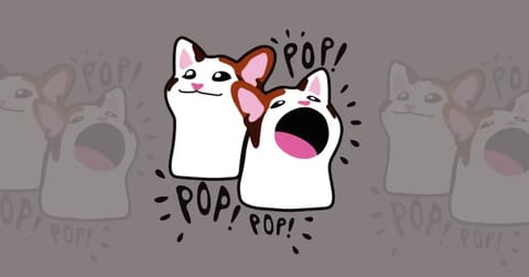 De ce a crescut prețul POPCAT cu 12% astăzi