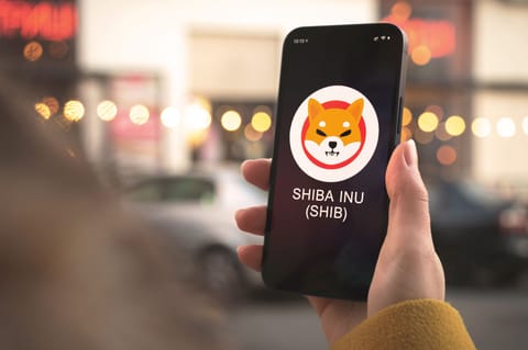 Shiba Inu e pe val. A ajuns și-n topul preferințelor investitorilor mari și la Săptămâna Modei la Milano