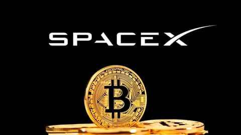 SpaceX von Elon Musk hat über 268 Millionen US-Dollar in Bitcoin an zwei Wallets transferiert
