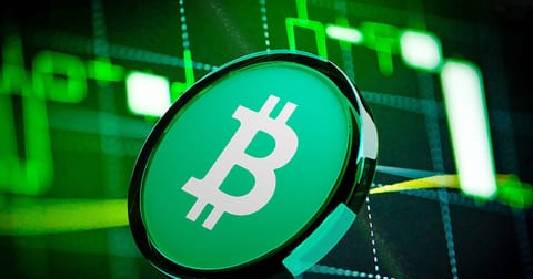 Bitcoin Cash Halving Countdown; BCH Hits Highest Price Since 2021