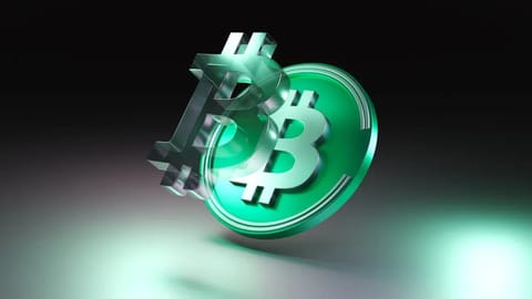 Bitcoin Cash Soars After Halving, Hints at Potential Bitcoin Rally