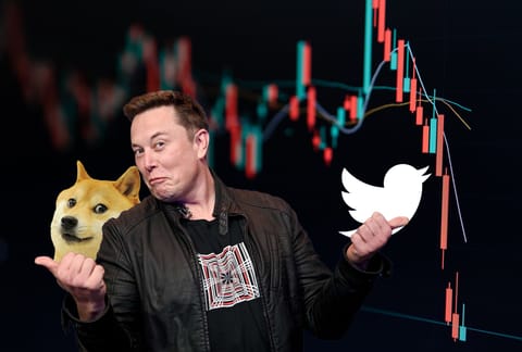Elon Musk's favorite cryptocurrency takes a hit after Twitter logo change