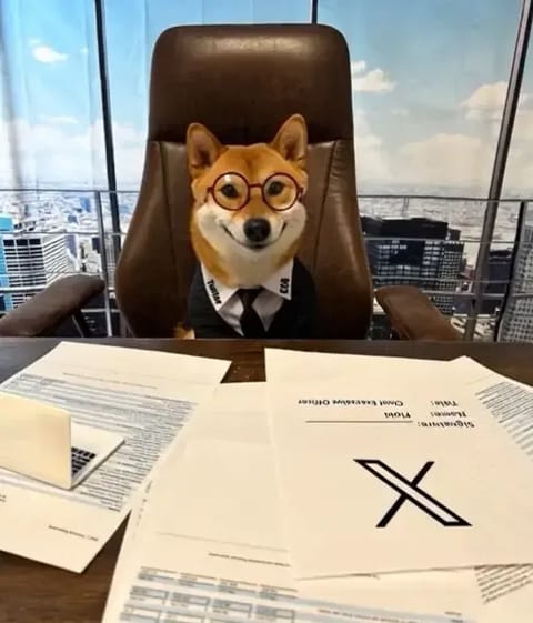 Prețul FLOKI în creștere cu peste 23% după postarea lui Elon Musk pe X – Sectorul memecoins crește