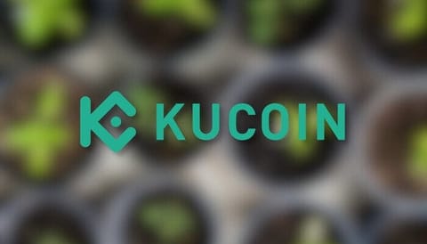Rezervele de BTC și ETH ale KuCoin sunt "în regulă", spune CEO-ul CryptoQuant, în ciuda acuzațiilor penale