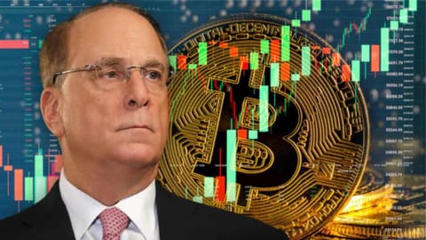 ETF Bitcoin al BlackRock are cea mai rapidă creștere din istorie, potrivit lui Larry Fink