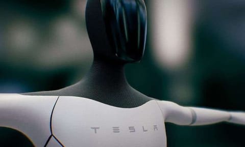 Elon Musk: Tesla's Optimus "Sentient Humanoid Robot" Could Launch In 2025