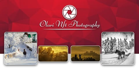 Olari NFT: prima colecție de fotografii pe Elrond Network