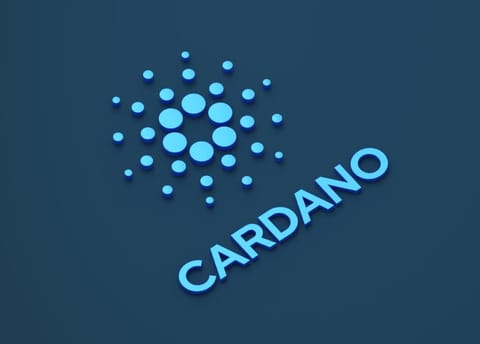 Djed, prima monedă stabilă de pe Cardano, se pregătește pentru lansare