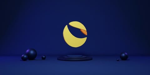 Interpol a emis o notificare roșie pentru fondatorul Terra, Do Kwon