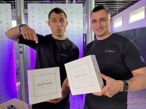 LIVE NFT Unboxing: Vee Friends, by Gary Vaynerchuck, în România! Astăzi la 19.00