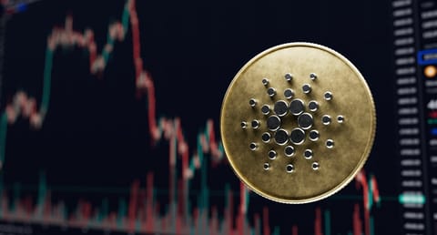 Cardano: 71% dintre deținătorii ADA sunt pe „roșu”
