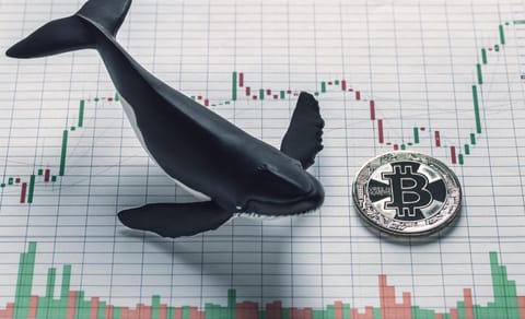 Bitcoin: Balenele cumpără, chiar dacă există riscul ca prețul să scadă sub 40 de mii de dolari