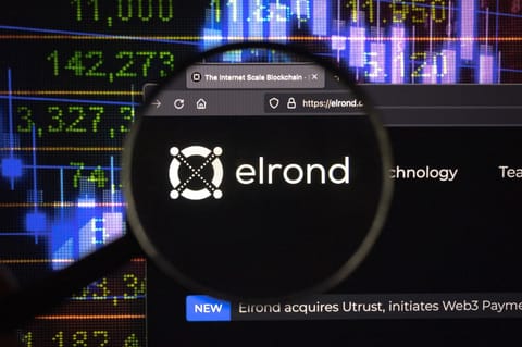 Elrond: 1,65 milioane de EGLD furați de pe Maiar Exchange