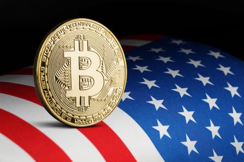 Bitcoin à 80 000 $ si Trump gagne, prédisent les analystes