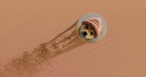Why are Memecoins Outperforming: A Frenzy of Culture, Attention, and Emotions