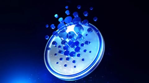 Cardano’s Plomin Hard Fork Goes Live - Will It Save ADA from a 30-Day Low?