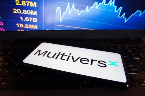 MultiversX ar putea deschide un birou în SUA, aproape de giganții tehnologici din Silicon Valley