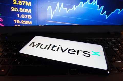 MultiversX pourrait ouvrir un bureau aux États-Unis près de géants technologiques comme Tesla et Google
