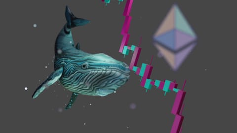 Whale Opens Massive Ethereum Long Position Amid Market Surge