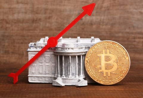 Trump’s Inner Circle Holds Bitcoin as White House Pushes Pro-Crypto Agenda
